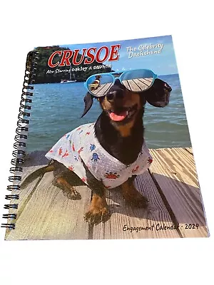 Crusoe The Celebrity Dachshund 2024 6.5  X 8.5  Engagement Calendar • £8.08