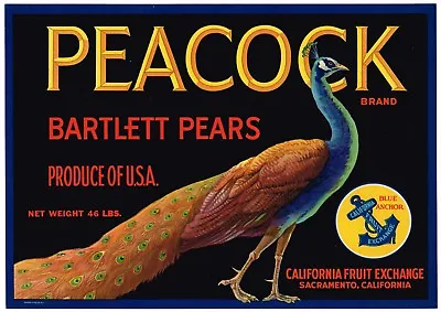 Genuine Crate Label Vintage Peacock Sacramento 1950s Pear 46 Pounds Proud Bird  • $6.95
