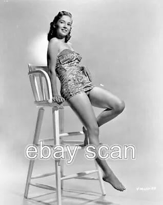 Actress Vera Miles  Leggy Cheesecake    8x10 Photo 157 • $14.99