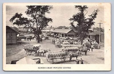 J97/ Elmer New Jersey Postcard C1910 Potato Centre Wagons Market 281 • $9.20