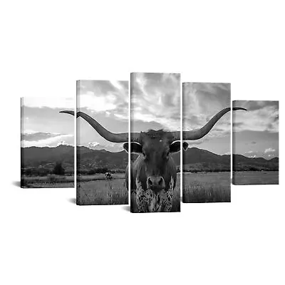 5 Piece Texas Animal Canvas Wall Art Longhorn Black & White Canvas Print Mode... • $113.10