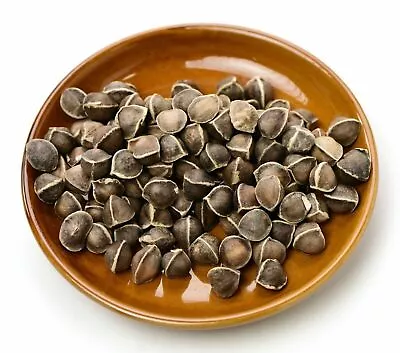 250 Seeds Moringa Oleifera Seeds For Planting Drumstick Seeds Non-GMO • $12.99
