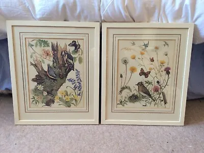 2 MARJORIE BLAMEY Signed Ltd Edition Framed Prints Wedgewood WWF 1970s • £14.99