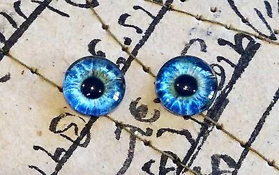 £1.50 • Buy Taxidermy Glass Dragon, Doll, Teddy Eyes, Human Blue 10mm, 14mm, 16mm