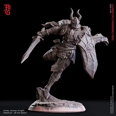 Paladin Knight Fighter Resin Miniature 28mm 32mm Dungeon Dragons D&D RPG • $11.99