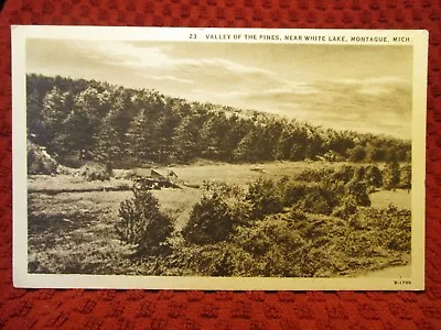 1930's. Valley Of The Pines. Near White Lake. Montague Michigan. Postcard J13 • $7.95