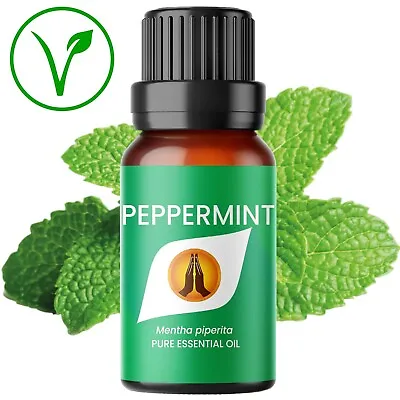 £4.99 • Buy Peppermint Essential Oil - Mouse Mice Bug Insect Spider Repellent - 100% Pure