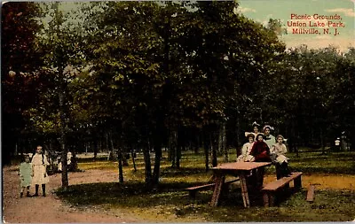 Millville New Jersey Picnic Grounds Union Lake Park Early 1900s Postcard • $9.45