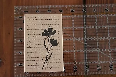 MEMORY BOX POPPY COLLAGE Flower Script Wood Rubber Stamp M • $10