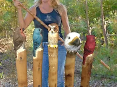 $49.95 • Buy New Redbird Bluebird Owl Eagle Bear Walking Stick Cane Wood Hand Carved