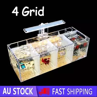 4Grid Acrylic Fighter Tank For Betta And Fighting Fish LED Light W/ Water Pump X • $66.58