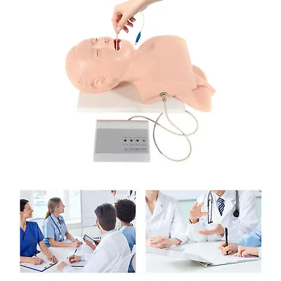 $211 • Buy PVC Intubation Model Manikin Simulator Airway Management Study Teaching Model
