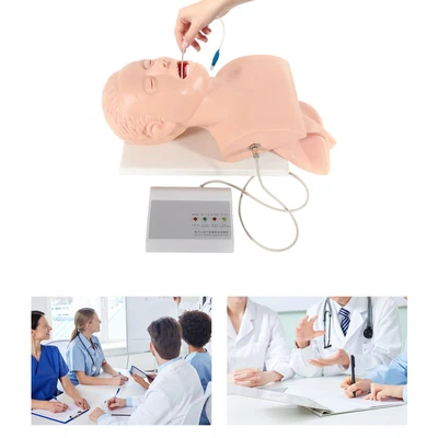 $211 • Buy PVC Intubation Model Manikin Simulator Airway Management Study Teaching Model
