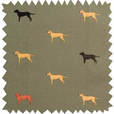 £4.19 • Buy 50cm X 25cm Wide Sophie Allport  Fab Lab Labrador Dogs On Olive Green New