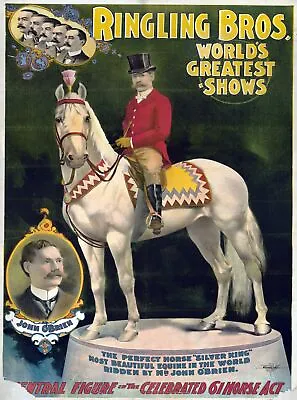 $62 • Buy Wall Decoration Poster.Room Art Design.Circus Silver King Horse Act.Decor.11714