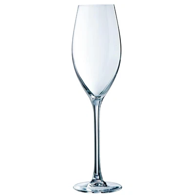 £215.81 • Buy Chef & Sommelier Grand Cepages Champagne Flutes 240ml Pack Of 24 - DH849