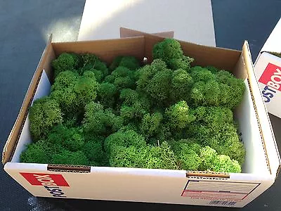 200g Box  Model Moss Scenery Tree Hedge Train Set HORNBY Battle WAR Slot Farm • £13