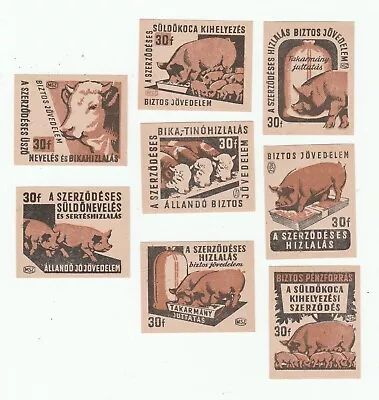 Complete Set Of Livestock Raising Contract - Matchbox Labels Hungary (s73) • $3
