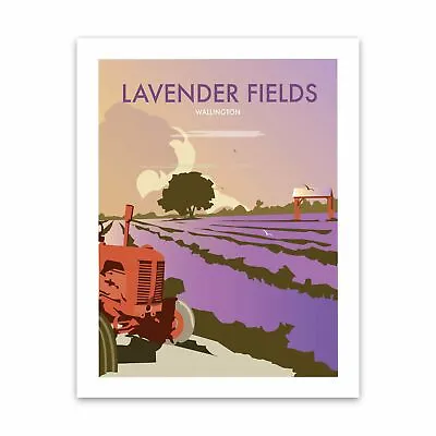 Lavender Fields 28x35cm Art Print By Dave Thompson • £9.99