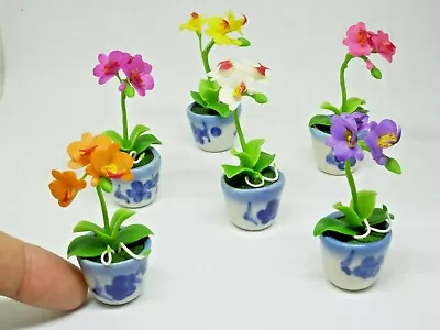 1 Pc Miniature Phalaenopsis Flower Clay In Ceramic Pots Dollhouse Handmade • $4