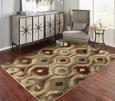 Modern Area Rugs For Living Room 8x10 Floral Rug 5x7 • $24.94