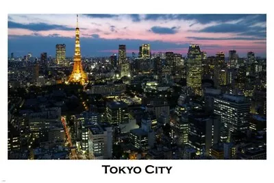 TOKYO Cityscape POSTER 20x30 Illuminated VIOLET-PINK Sky Rare AWESOME New! • $10.49