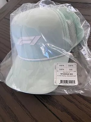 F1 Pastel Trucker Cap / Motorsports Hat F1 Racing • $27