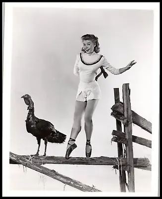 HOLLYWOOD BEAUTY VERA ELLEN CHEESECAKE LEGS 1950s STUNNING PORTRAIT PHOTO 702 • $50.39