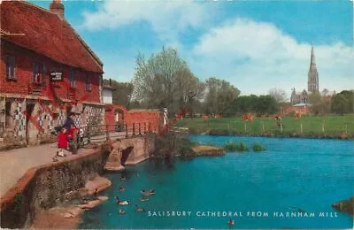 Picture Postcard__Salisbury Cathedral From Harnham Hill [Salmon] • £2.19