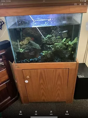 Fish Tank Aquarium • $180