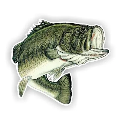 $3.99 • Buy Largemouth Bass Fish Decal / Sticker Die Cut