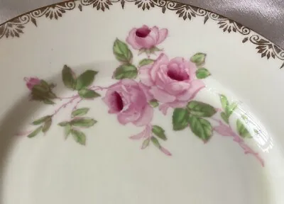 SALISBURY Bone China Cake Plate “Dijon” Design Diameter 17cm • $13