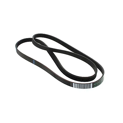 Maytag Washing Machine Belt 1239 J5 Genuine • £8.45