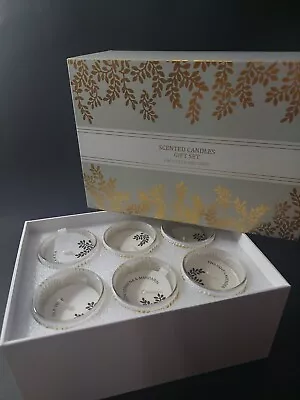 Scented Candles Gift Set 6ct Mokara Blackberry Mint Silk Tree Lavender Etc. • $16.99