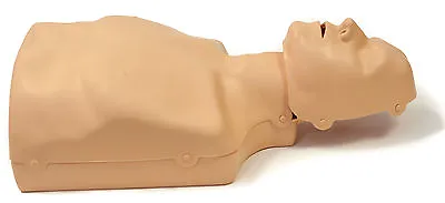 Practi-Man CPR Training Manikin Adult & Child Switchable With No Carry Bag NEW • £130.80