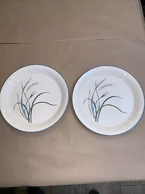 Lot Of 2 Corelle COASTAL BREEZE Dinner Plates USA  10.25  • $15