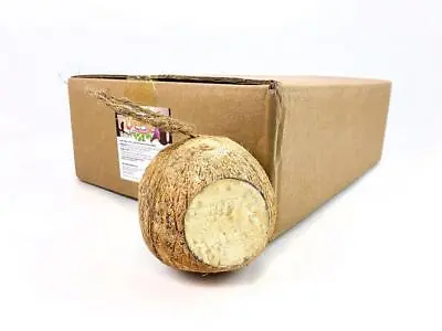 Box Of 12 Chubby Whole Filled Coconut Wild Bird Food • £31.99