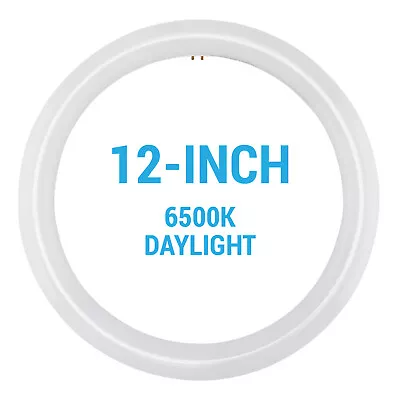 FC12T9 LED CFL Replacement Circline Circular 16W T9 4-Pin G10q 6500K Daylight • $16.95