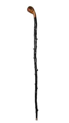 Irish Shillelagh Walking Stick Made In Ireland 100% Blackthorn Walking Stick • $174.67