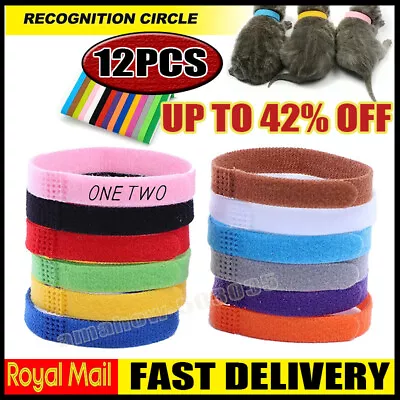 12X Puppy ID Collars Adjustable Newborn Whelping ID Collar Bands -Multi Coloured • £3.63