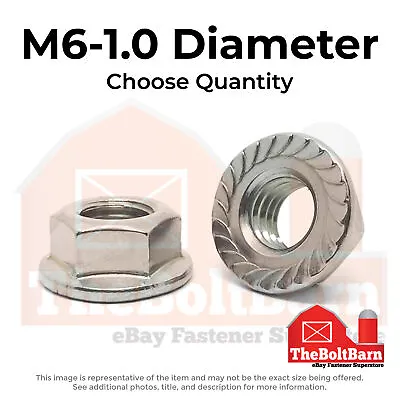M6-1.0 A2-70 Stainless Serrated Hex Flange Nuts (Choose Qty) • $7.50