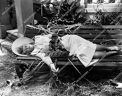 Crp-21404 1947 Vera-Ellen W Monkey Sleeping On Bench Film Carnival In Costa Rica • $11.99