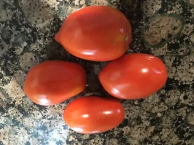 30 + Vincent's Sicilian Monster Tomato Seeds Big Paste Tomato ORGANIC • $1.89