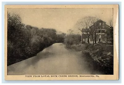 C1910's View From Loyal Sock Creek Bridge Montoursville PA Unposted Postcard • $14.98