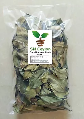 Dried Leaves Dawata Carallia Brachiata Freshwater Mangrove Carallia 250g-750g • £46.95