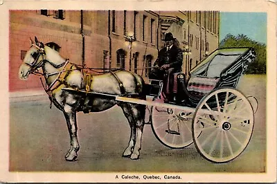 Canada Quebec Caleche Horse & Carriage Vintage Postcard • $8.89