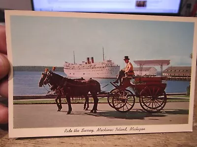 S2 Old Postcard MICHIGAN Mackinac Island Ride The Surrey Horse Drawn Wagon Rides • $8.99