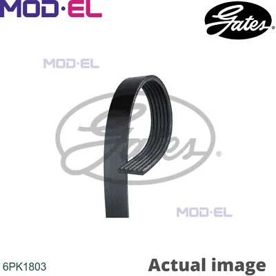 VRIBBED BELT FOR OPEL VECTRA/Hatchback/GTS ASTRA/Convertible/Van/Delvan CORSA   • $60.13