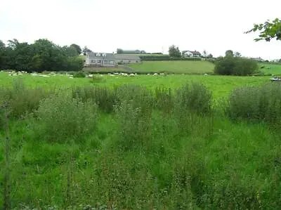 £2 • Buy Photo 6x4 Coolreaghs Townland Cookstown/H8078 Looking To The East C2007