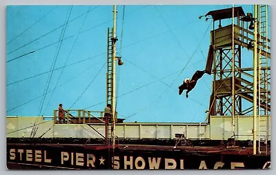 World Famous Diving Horse Steel Pier Atlantic City NJ Postcard • $8